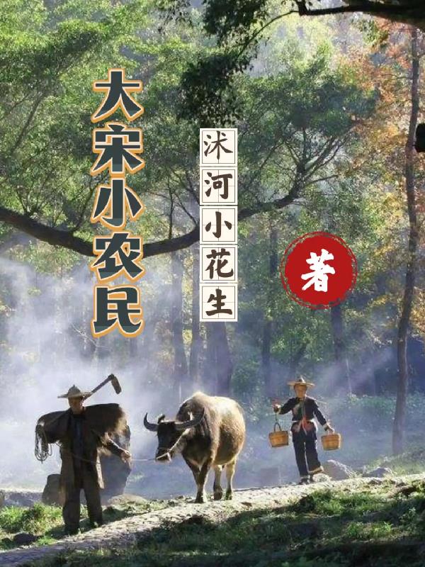 大宋小郎