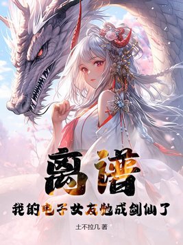 电子女孩攻略